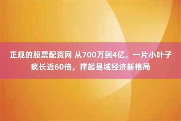 正规的股票配资网 从700万到4亿，一片小叶子疯长近60倍，撑起县域经济新格局