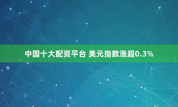 中国十大配资平台 美元指数涨超0.3%