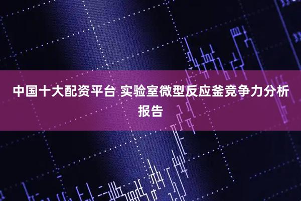 中国十大配资平台 实验室微型反应釜竞争力分析报告